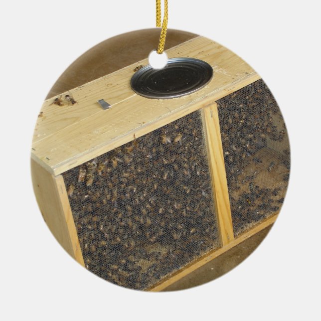 Honeybee Package Ceramic Tree Decoration (Front)