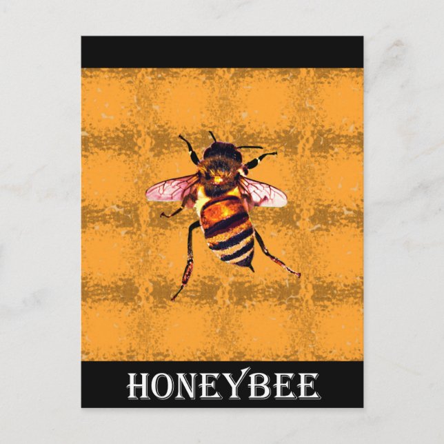 Honeybee Postcard (Front)