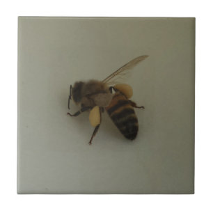 Honeybee Small (4.25" x 4.25") Ceramic Photo Tile
