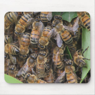 Honeybee Swarm Mouse Mat