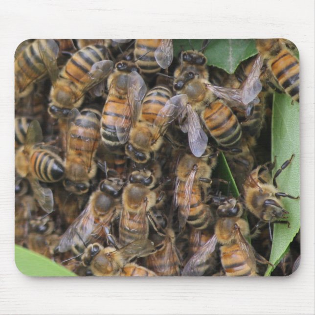 Honeybee Swarm Mouse Mat (Front)