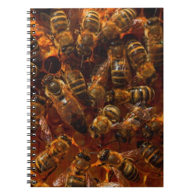 HONEYBEES 7  NOTEBOOK (Front)