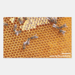 Honeybees in a hive  rectangular sticker