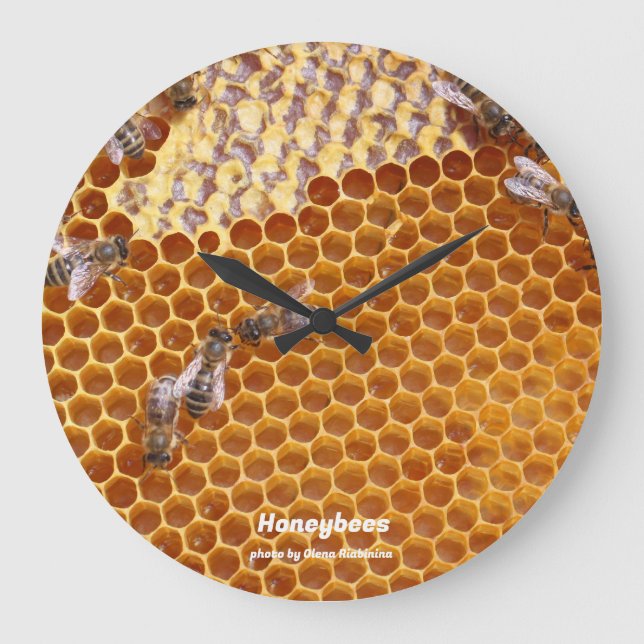Honeybees in the hive large clock (Front)