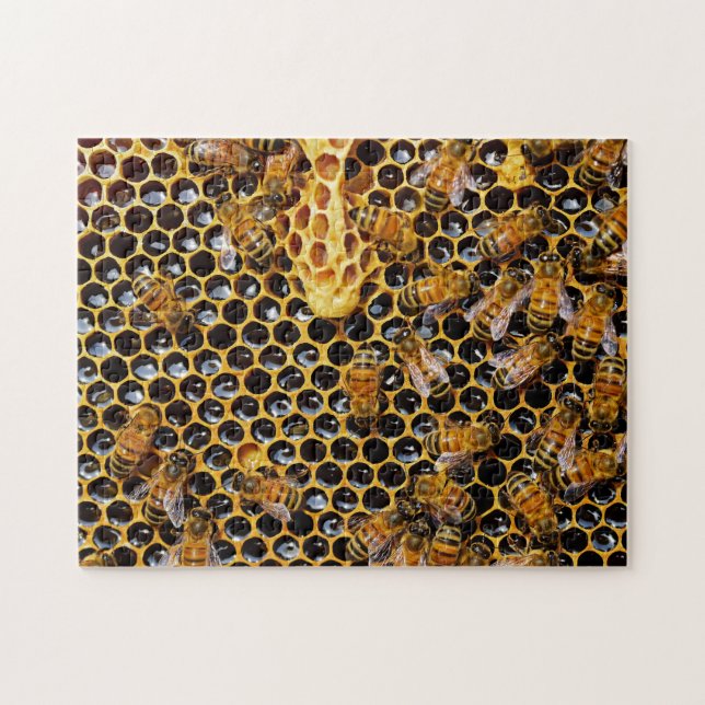 Honeycomb and Bees Jigsaw Puzzle (Horizontal)