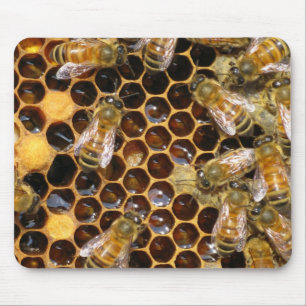 Honeycomb and Bees Mousepad