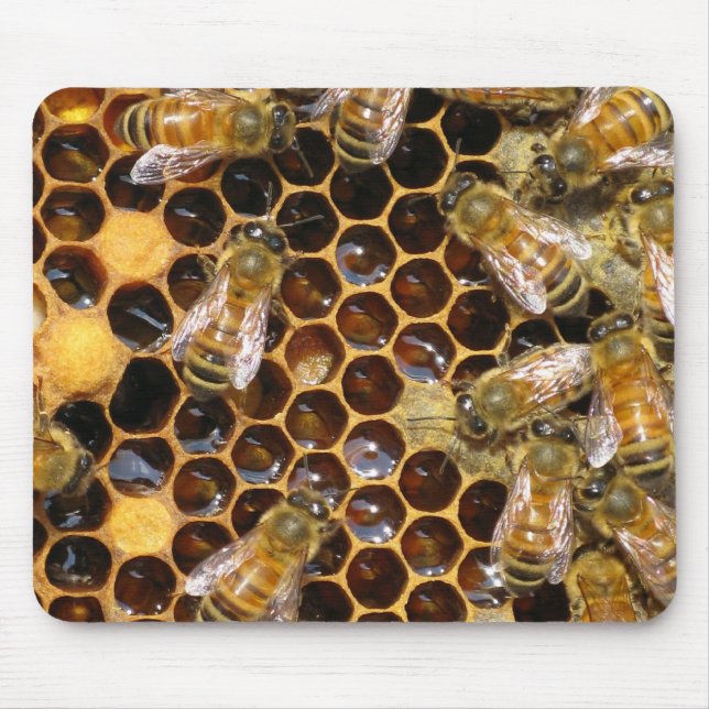 Honeycomb and Bees Mousepad (Front)