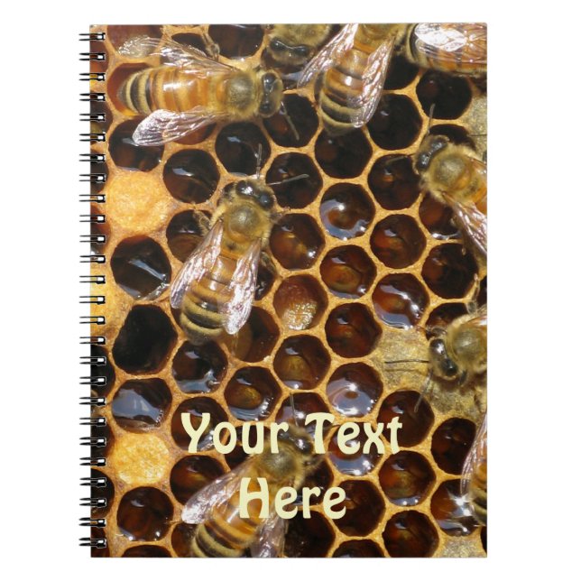 Honeycomb and Bees Notebook (Front)
