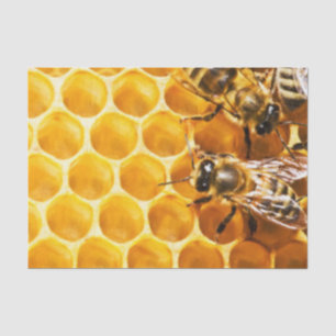 Honeycomb and Bees Pattern Design Tissue Paper