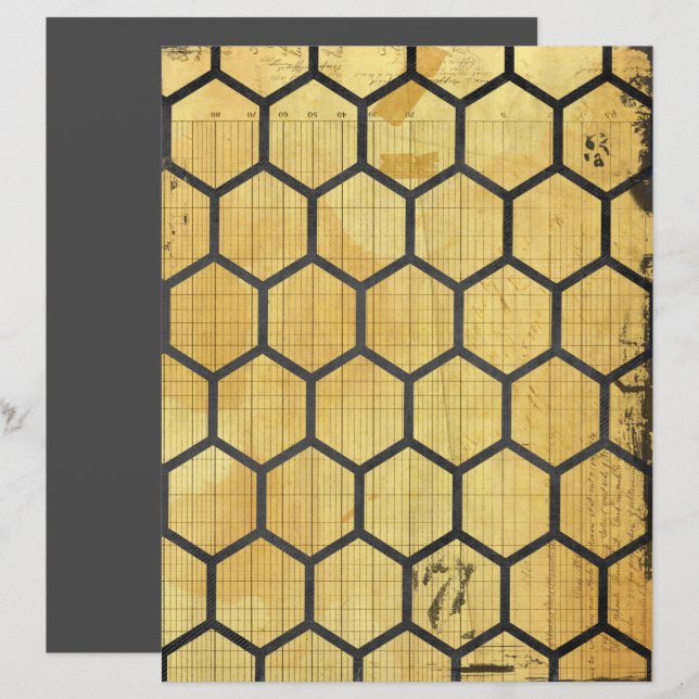 Honeycomb Bee Scrapbook Paper (Front/Back)