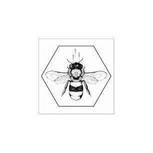 Honeycomb Bee Sketch   Apiary & Natural Skincare Rubber Stamp
