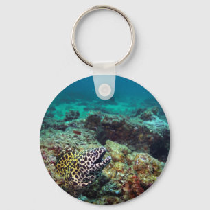 Honeycomb moray eel key ring
