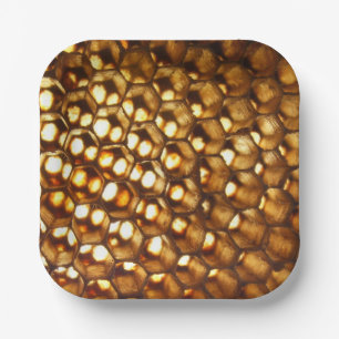 Honeycomb Paper Plate, beekeeper party, Paper Plate