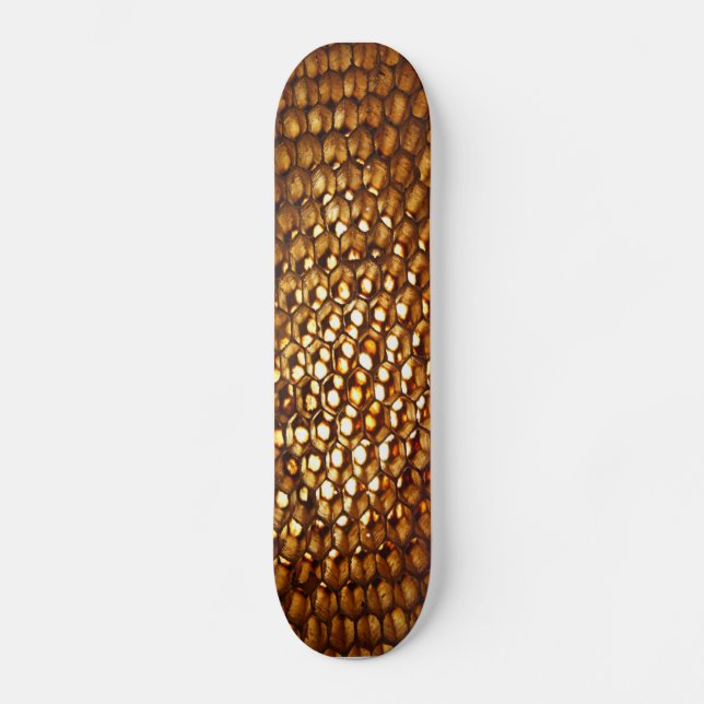 Honeycomb Skateboard (Front)