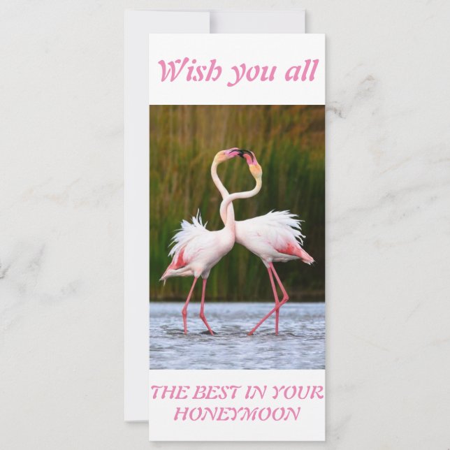 Honeymoon best wishes card (Front)