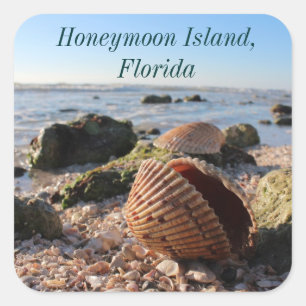 Honeymoon Island Florida beach seashell Square Sticker