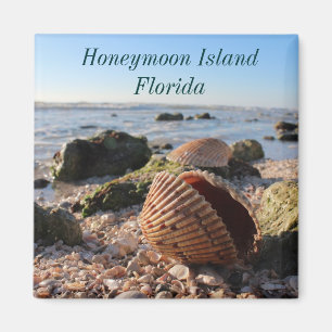 Honeymoon Island Florida Romantic Seashells magnet