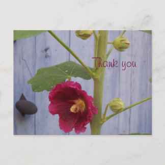 Honeysuccle thank you postcard