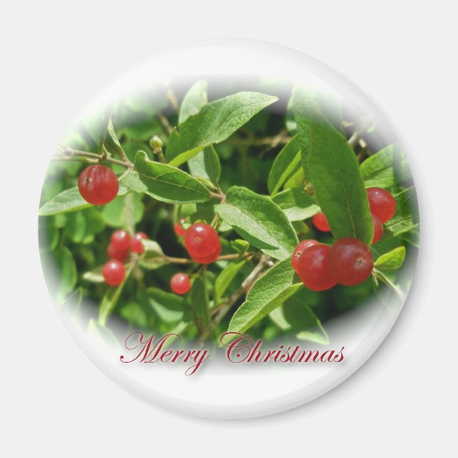 Honeysuckle Berries Christmas Magnet (Front)