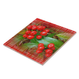 Honeysuckle Berries on Cotton Cloth Tile