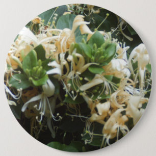 Honeysuckle Blooms 6 Cm Round Badge