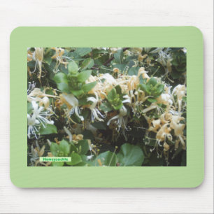 Honeysuckle  Blooms Mouse Mat