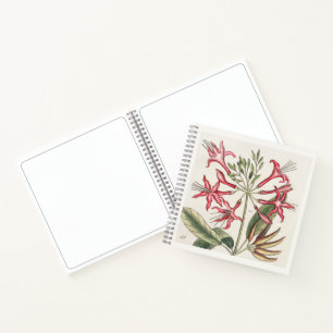 Honeysuckle Botanical 18th Century Art Sketchbook Notebook