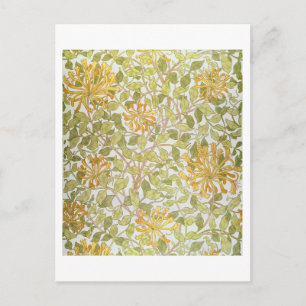 'Honeysuckle' design, 1883 Postcard