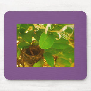 Honeysuckle Hummingbird Nest Mouse Mat