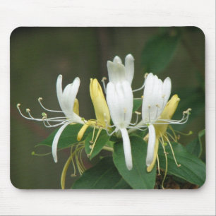 Honeysuckle Mouse Mat