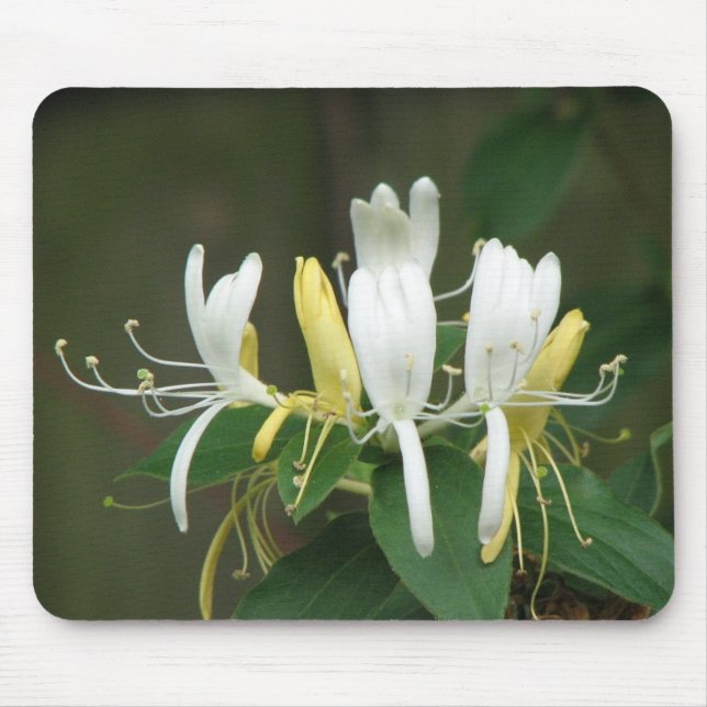 Honeysuckle Mouse Mat (Front)
