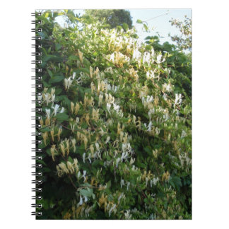 Honeysuckle On A Wall Notebook