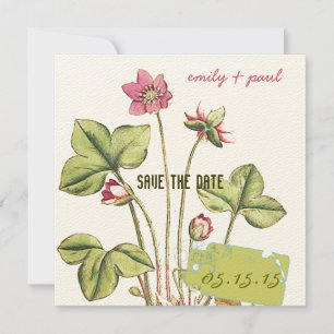 Honeysuckle Pink Flower Botanical Save the Date