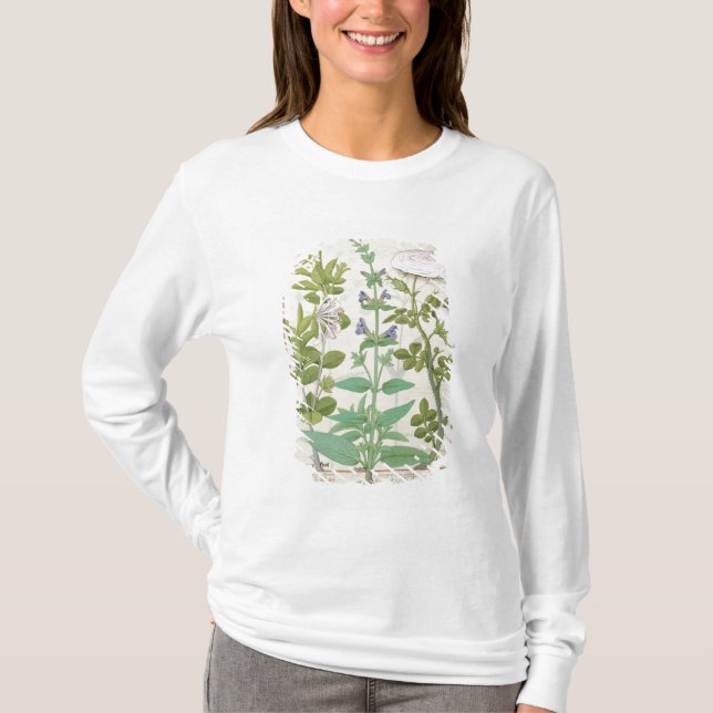Honeysuckle, Sage and Rose T-Shirt (Front)