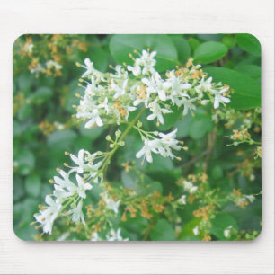 "Honeysuckle Sweet" Mouse Mat