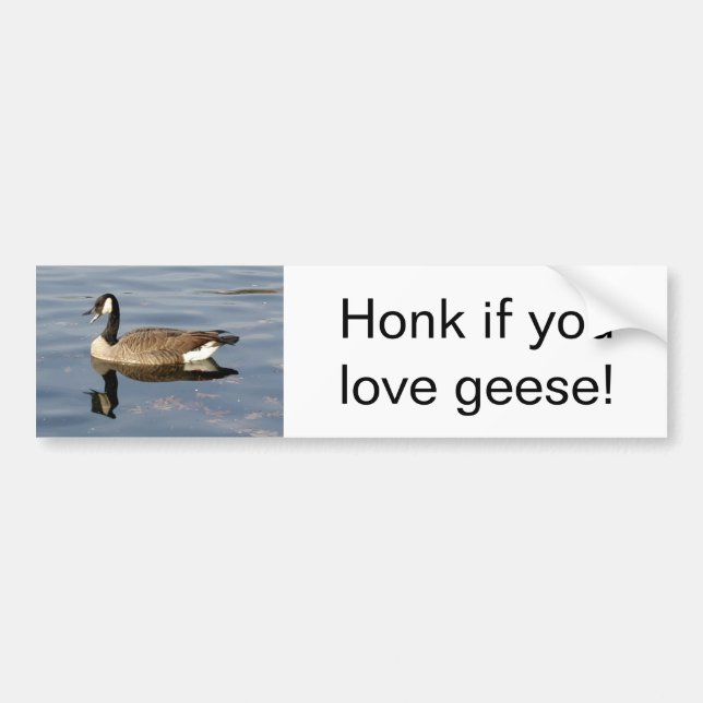 "Honk if you love geese" bumper sticker (Front)