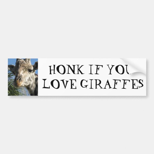 Image of HONK IF YOU LOVE GIRAFFES Bumper Sticker