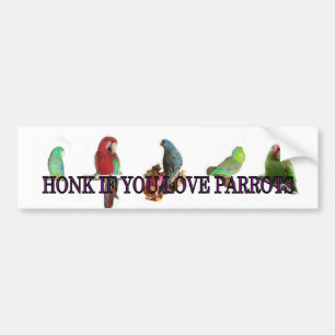 Honk if you love parrots bumper sticker