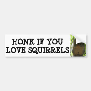 HONK IF YOU LOVE SQUIRRELS BUMPER STICKER