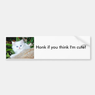 Honk if you think I'm cute! Bumper Sticker