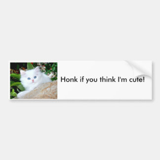 Honk if you think I'm cute! Bumper Sticker