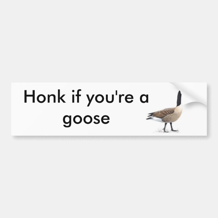 Honk if you're a goose bumper sticker | Zazzle.co.uk