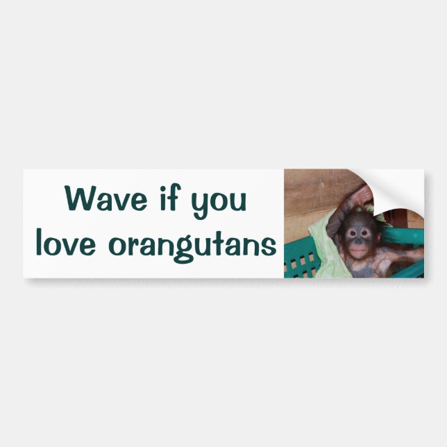 Honk or Wave If You Love Orangutans Bumper Sticker (Front)