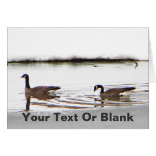 Honkers - Canada Geese