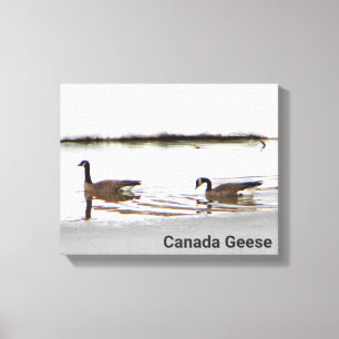 Honkers - Canada Geese Canvas Print