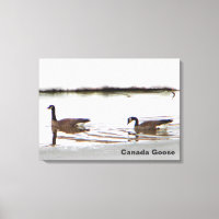 Honkers - Canada Geese