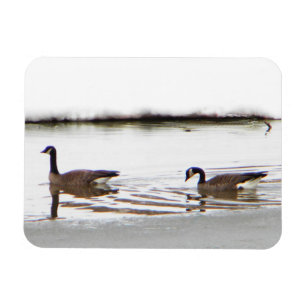 Honkers - Canada Geese Magnet