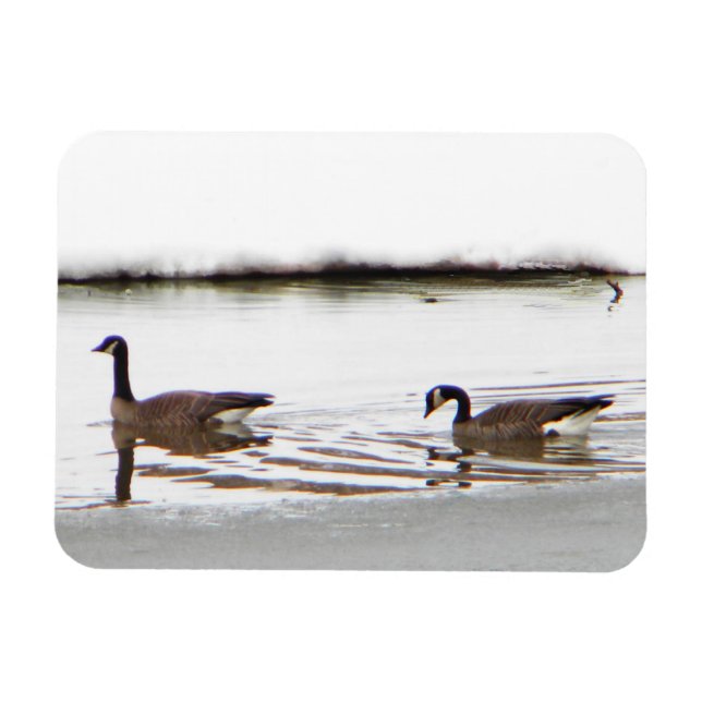 Honkers - Canada Geese Magnet (Horizontal)