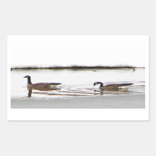 Honkers - Canada Geese Rectangular Sticker
