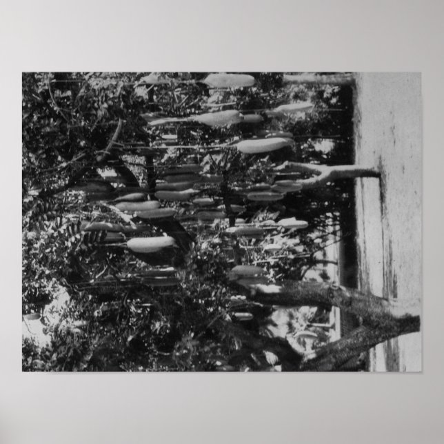 Honolulu, HI - University of Hawaii Poster (Front)